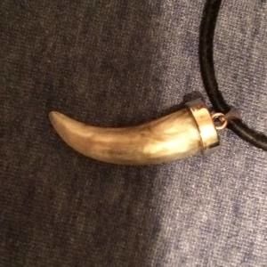 Meet your Posher, Brady